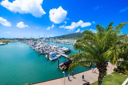 a marina with boats in the water and a palm tree at Marina Living with views and more in Airlie Beach