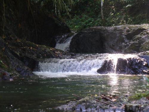 a waterfall in the middle of a river at Hotel Santiago Plaza Acandí in Acanti