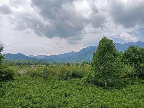 an open field with a tree and mountains in the background at 4BR Entire House near Nikko & Highway EV Parking in Nikko