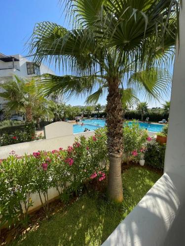 un palmier en face d'une piscine dans l'établissement Assilah marina golf, à Assilah