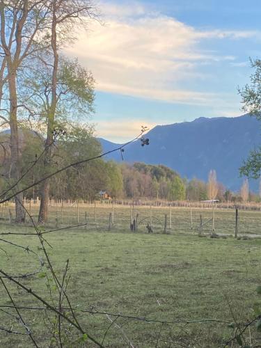 a kite flying over a field with a fence at Cabañas Traitraiko Coñaripe in Panguipulli