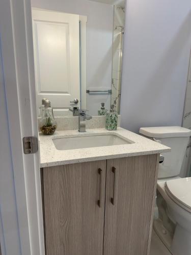 a bathroom with a sink and a toilet at Peaceful Haven in Prime Location in Calgary