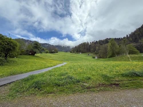 a field of green grass with a road at Kleine VillaKunterbunt in Quarten