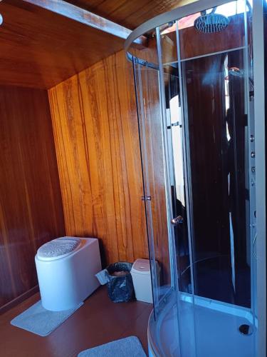 a bathroom with a toilet and a glass shower at Brisas del Titicaca Perú in Puno