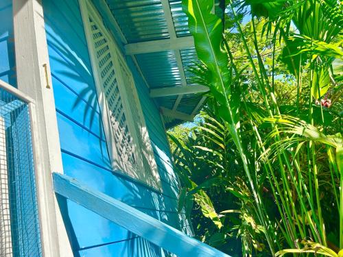 a blue building with a window and some plants at Villas Itaita Beach Cabins in Punta Uva
