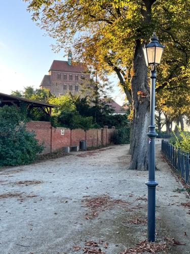 a street light in a park with a tree at Havelzeit in Havelberg