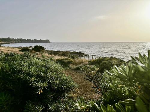 a beach with a view of the water and plants at Genari Beach Apartments -Family sea view apartment in Korakokhórion