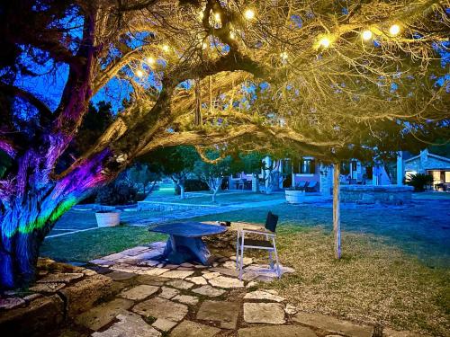 a picnic table and a bench under a tree with lights at Genari Beach Apartments -Family sea view apartment in Korakokhórion
