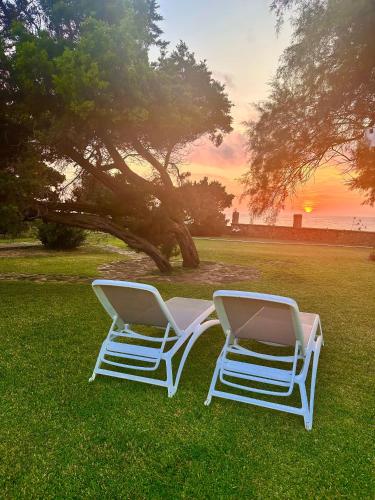 two chairs sitting in the grass under a tree at Genari Beach Apartments -Family sea view apartment in Korakokhórion