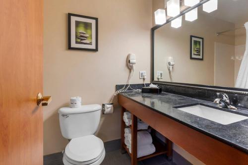 a bathroom with a sink and a toilet and a mirror at Comfort Suites North Dallas in Dallas