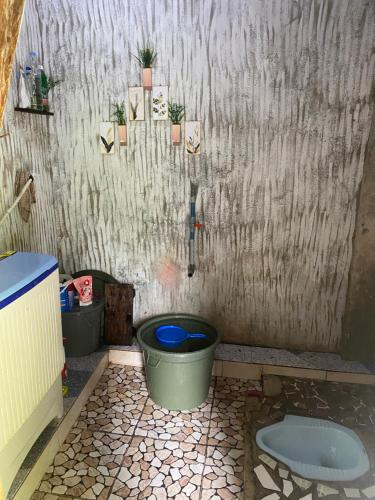 a bathroom with a toilet and a toilet bowl at Green View Homestay & Jungle Trekking in Bukit Lawang