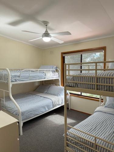 two bunk beds in a room with a ceiling fan at Golden Mile - On the Waterfront in Bundalong