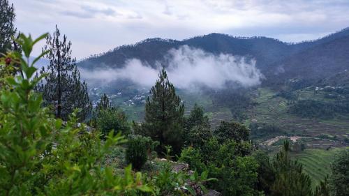 a view of a mountain with clouds in the valley at Solo Travelers Club in Kausani