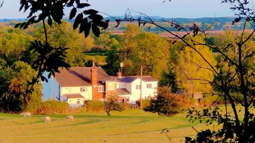 ein Haus mit drei Tieren, die auf einem Feld grasen in der Unterkunft Fern Cottage in Brinklow