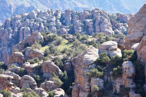 a view of a canyon with trees and rocks at Wadi Dana Lodge - نزل وادي ضانا in Dana