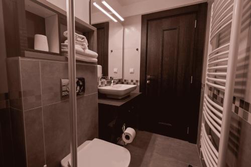 a bathroom with a toilet and a sink and a mirror at Vikendica Aleksandrović Meterize in Topola