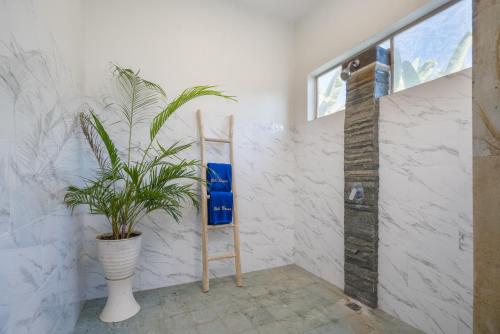 a plant in a white room with a ladder at Bali Bagus Villa in Amed