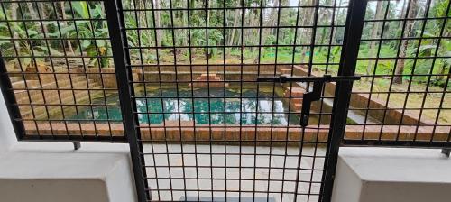a cage with a lion inside of it at Traditional Kerala house, Kannur-Thalassery in Tellicherry