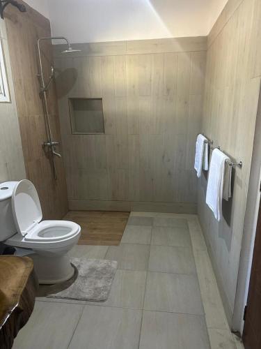 アルーシャにあるAvana Homeのバスルーム(トイレ、シャワー、タオル付)