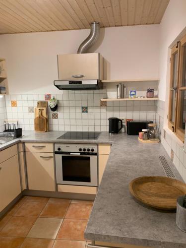 Η κουζίνα ή μικρή κουζίνα στο Private Ferienwohnung im Zentrum von Immenstadt