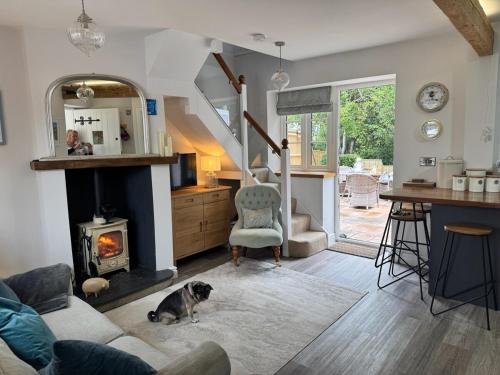 a dog sitting in a living room with a fireplace at Sea Breeze, cottage with large woodland garden in Seaview
