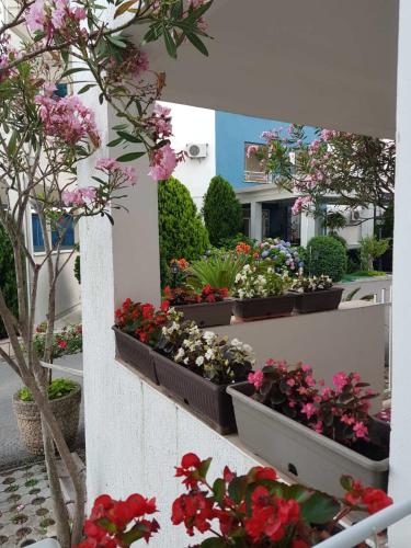 a bunch of flowers in pots on a wall at Apartment Aleksic Becici in Bečići