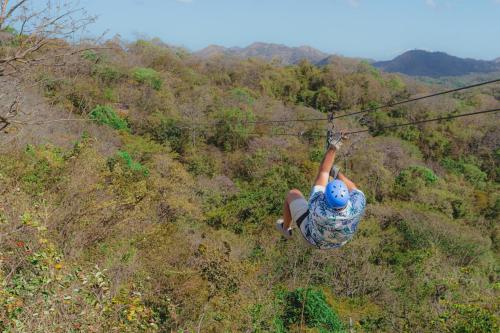 アパートメントの近くで見られる自然の景観