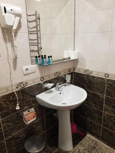 a bathroom with a sink and a mirror at Dayarta in Skhidnitsa
