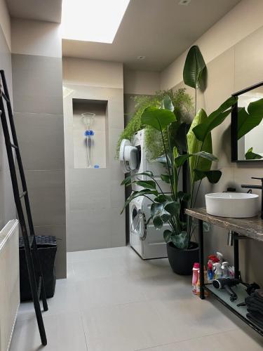 a bathroom with a sink and plants in it at Stylish * Sunny * Cosy House in Heemstede
