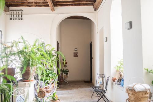 Palazzo Giotta - dimora storica photo 25