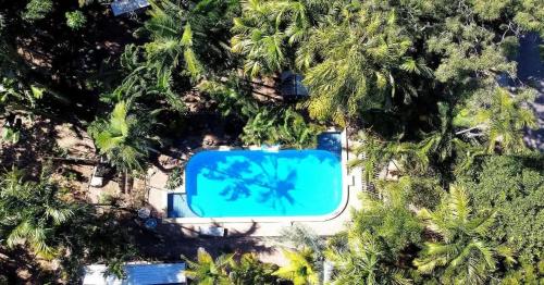 an overhead view of a swimming pool with palm trees at Vintage Coral Green in Nelly Bay