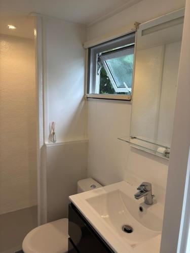 a bathroom with a sink and a mirror and a toilet at Bosperceeltje Putten in Putten