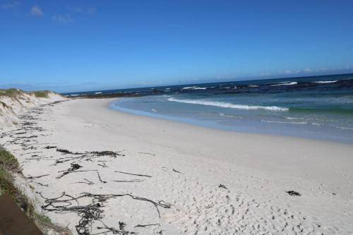 a sandy beach with the ocean in the background at Seaside Escape in Pearly Beach