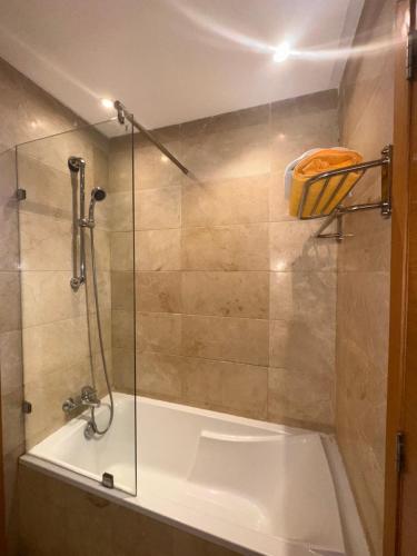 Bilik mandi di Apartment, Premium