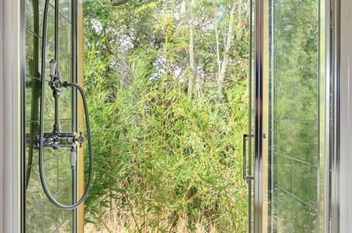 a glass shower door with a view of a bush at Pelsham View in Peasmarsh