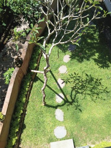 a small tree in the grass with rocks at In KARMA in Ubud
