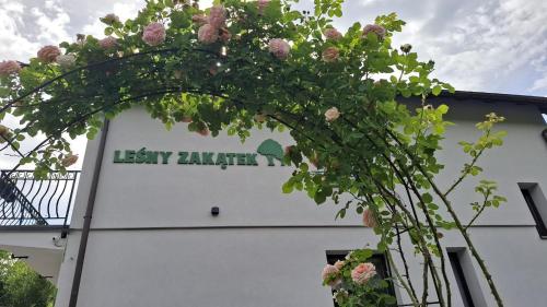 Leśny Zakątek