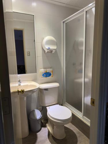 a bathroom with a toilet and a sink and a shower at Hotel Santiago Yungay in Santiago