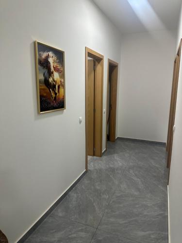 Foto Sal Reis asuva majutusasutuse Elsabordecuba galeriist