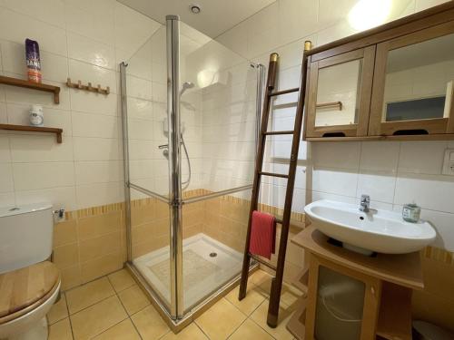 a bathroom with a shower and a sink and a toilet at Villa 3 chambres proche océan, Wi-Fi, Animaux OK - FR-1-379-114 in Messanges