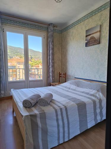 a bedroom with a bed with two pillows on it at Appartement 4 pers Balcon Parking gratuit in Amélie-les-Bains-Palalda
