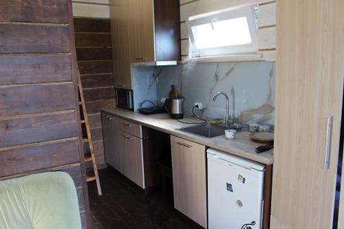 a small kitchen with a sink and a stove at містечко Швейцарське in Dragonya