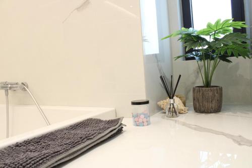 a bathroom counter with a sink and a plant at LuxApart74 l Comfy & Minimal Stay in Ierapetra in Ierápetra