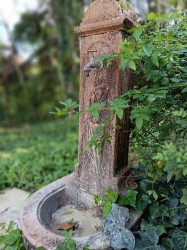 an old fire hydrant with a plant growing on it at Villa Piccolomini in Siena