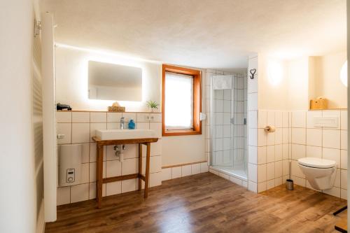 a bathroom with a sink and a toilet at Der Gastfreund in Burghaun in Burghaun