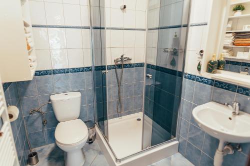 a bathroom with a shower and a toilet and a sink at Ranč pod Ostrou Skalou in Stratená