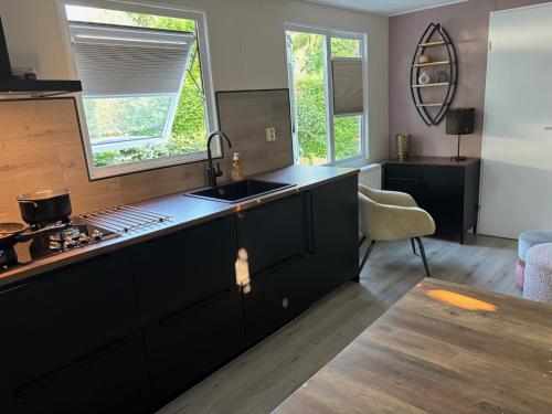 una cocina con fregadero y encimera en Bosperceeltje Putten, en Putten