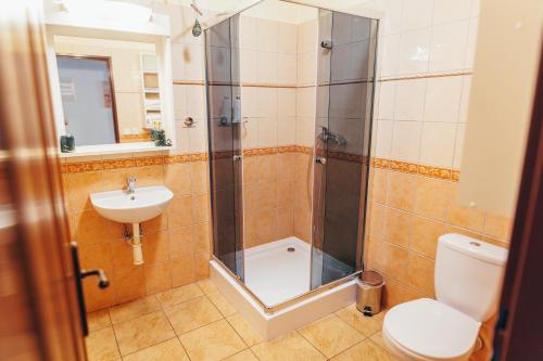 a bathroom with a shower and a toilet and a sink at Ranč pod Ostrou Skalou in Stratená