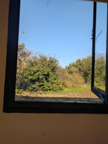 a window with a view of a field and trees at Caliu Earthship Ecolodge in Colonia del Sacramento