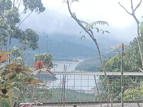 une personne debout sur une balustrade surplombant un lac dans l'établissement Aathi cottage, à Chinnakanal